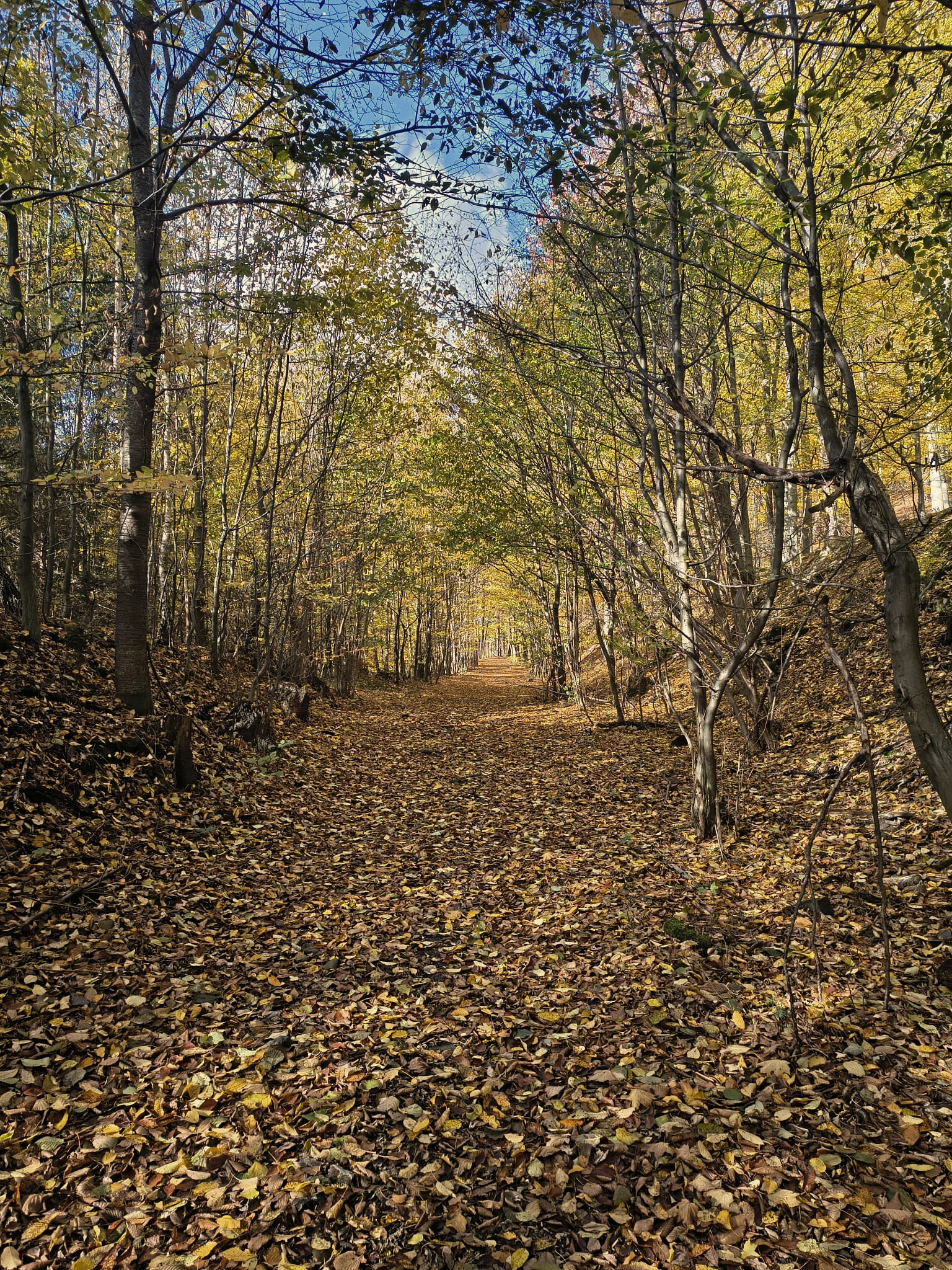 Filozofie stezky ŽelezNICE